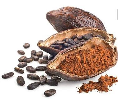 Cocoa Extract-Undersun