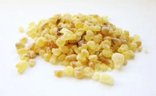 boswellia extract-1