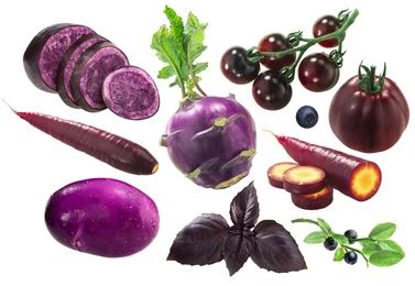 What is anthocyanin in plants