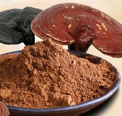 Poudre de Reishi vs extrait : méthodes de test, identification et spécifications