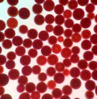 Qu'est-ce que l'astaxanthine naturelle?