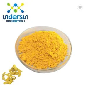 Poudre de curcuma biologique