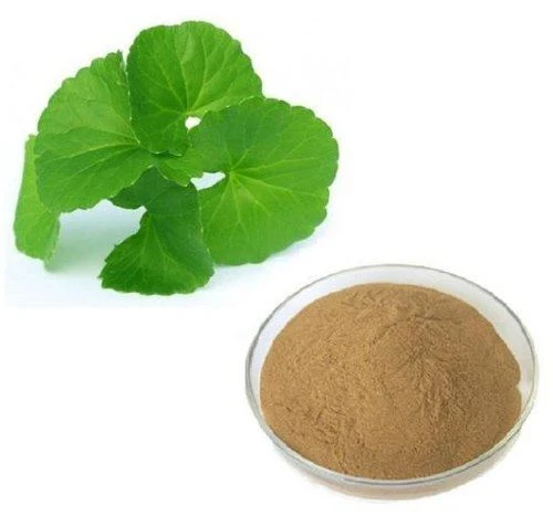 Poudre d’extrait de Gotu Kola