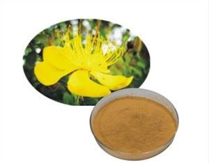 Extrait d'Hypericum Perforatum