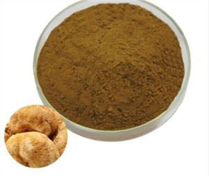 Poudre de champignons à crinière de lion