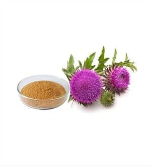 Lait Thistle Poudre En vrac