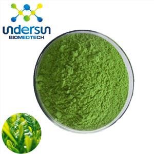 Poudre de thé vert biologique