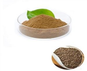 Poudre de graines de Perilla