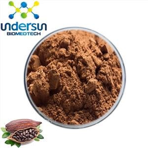 Extrait de cacao en poudre