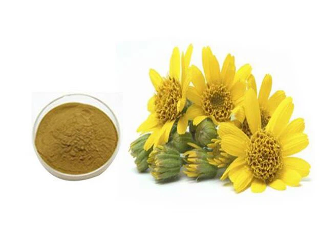 Extrait d'arnica