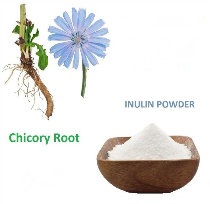 Acheter Inulin Powder