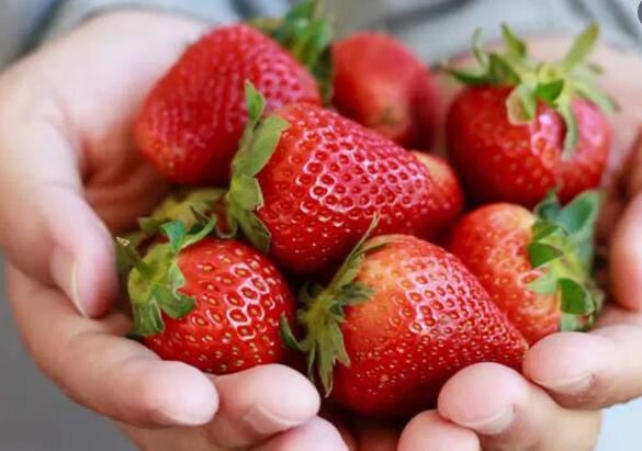 Combien de calories dans une fraise ?
