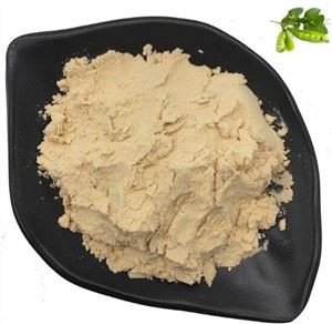 Poudre de protéine de pois en vrac