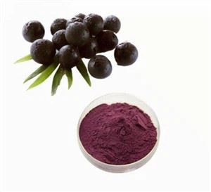 Extrait de fruit de sureau