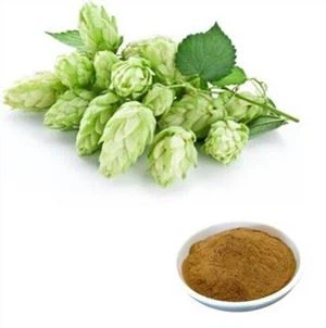 Extrait de houblon