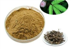 Poudre d'écorce de racine de Mimosa Hostilis