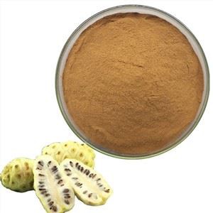 Extrait de fruits Morinda Citrifolia