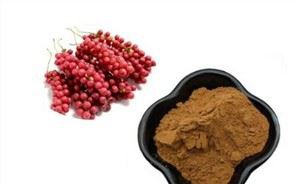 Extrait de fruit de Schisandra Chinensis