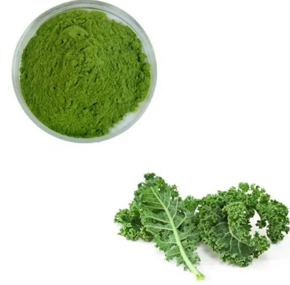 Extrait de Feuille de Chou Brassica Oleracea Capitata