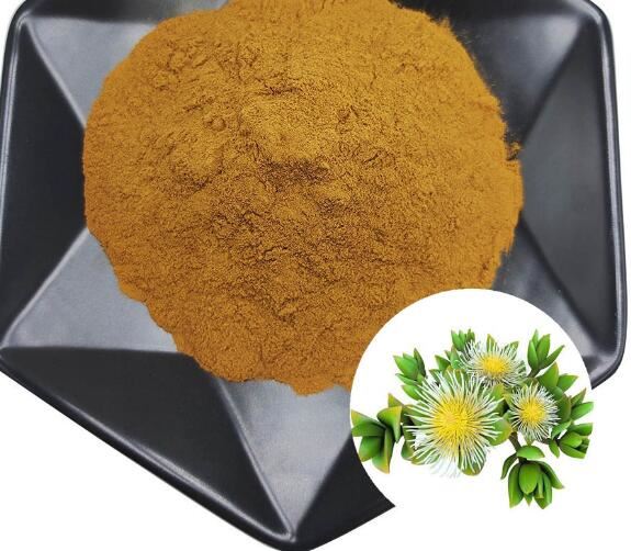 Poudre de Kanna