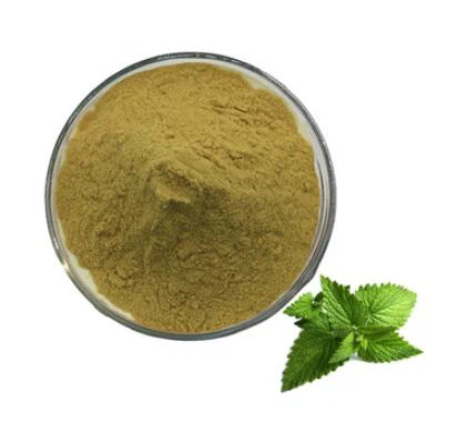 Poudre d'extrait de menthe