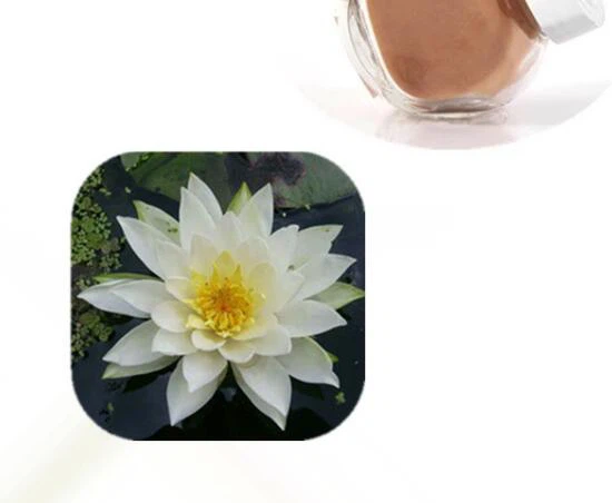 Extrait de fleur de Nymphaea Alba