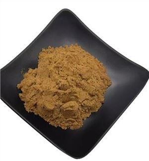 Extrait de racine d'Angelica Polymorpha Sinensis