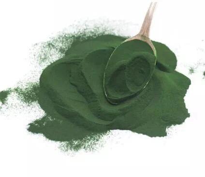 Extrait de Spiruline Platensis