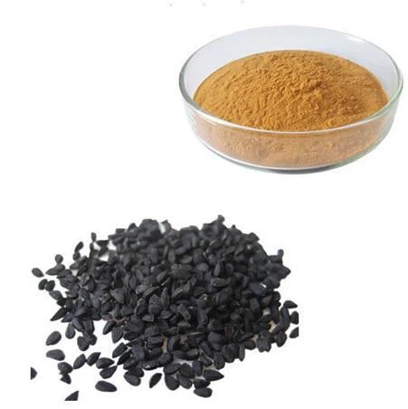 Extrait de thymoquinone de Nigella Sativa