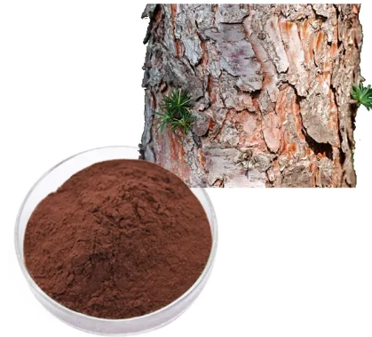 Extrait de proanthocyanidine